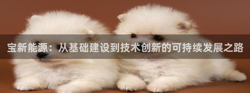 新宝gg注册q 26880:宝新能源:从基础建设到技术创新的