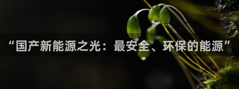 新宝gg — 创造!:“国产新能源之光:最安全、环保的能源”