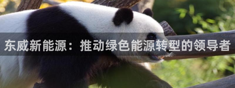 新宝GG亚洲:东威新能源:推动绿色能源转型的领导者