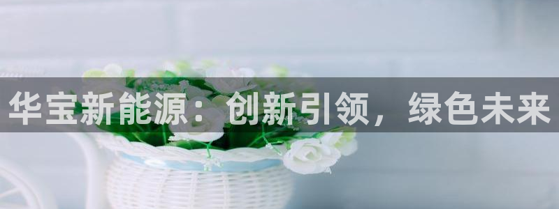 新宝gg登：华宝新能源：创新引领，绿色未