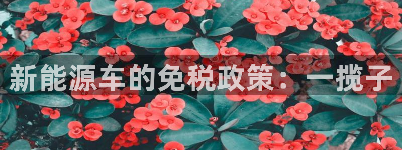 新宝 gg 登:新能源车的免税政策:一揽子