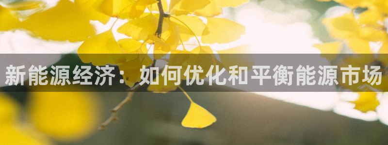 新宝gg画:新能源经济:如何优化和平衡能源市场