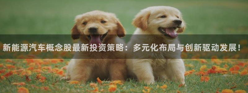 新宝gg-创业奇迹