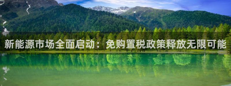 新宝GG之家：新能源市场全面启动：免购置