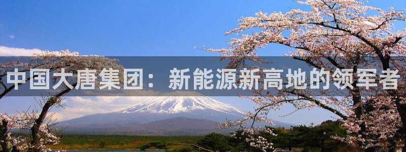 新宝太阳 gg：中国大唐集团：新能源新高