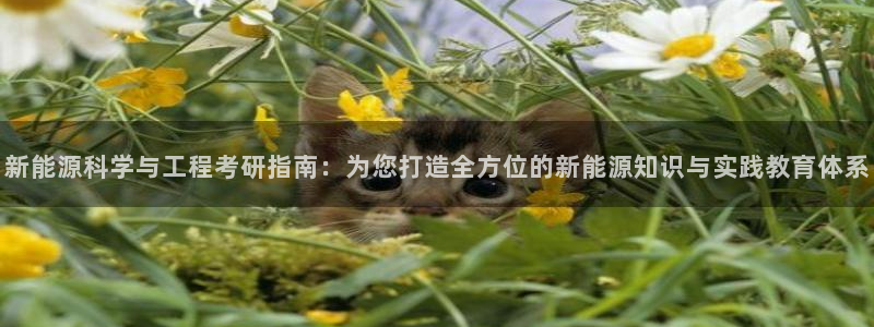 新宝 gg 登录注册：新能源科学与工程考