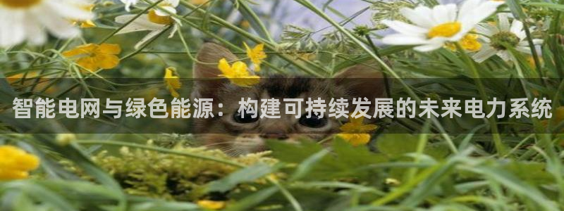 新宝gg注册q 26880：智能电网与绿