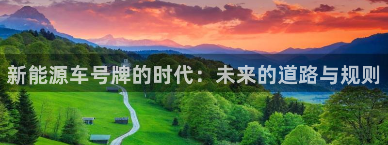 新宝 gg 下载：新能源车号牌的时代：未