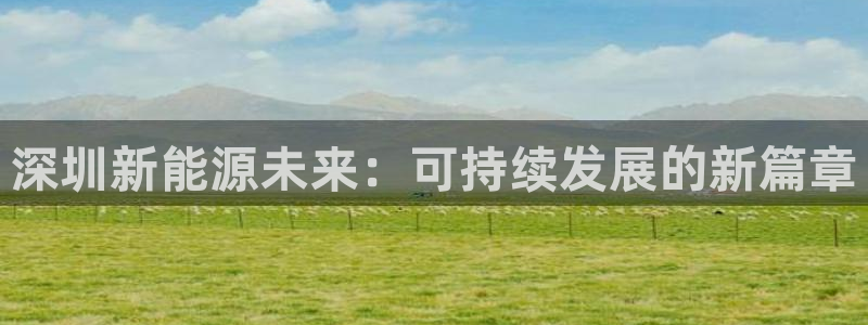 新宝GG湫33 300：深圳新能源未来：