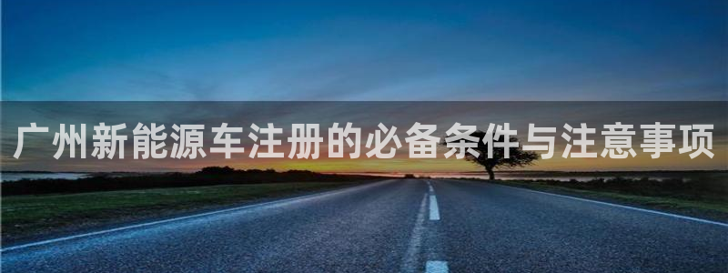 新宝gg app：广州新能源车注册的必备