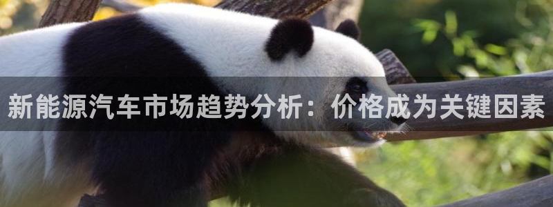 新宝gg：新能源汽车市场趋势分析：价格成