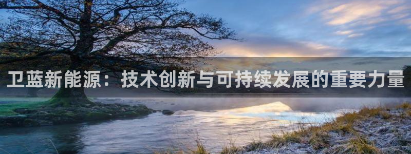新宝 gg：卫蓝新能源：技术创新与可持续