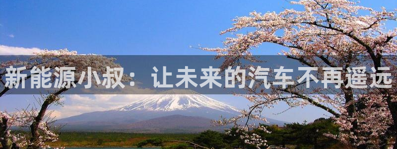 55新宝gg：新能源小叔：让未来的汽车不