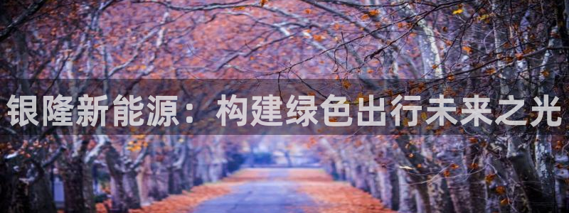 新宝gg主管111：银隆新能源：构建绿色