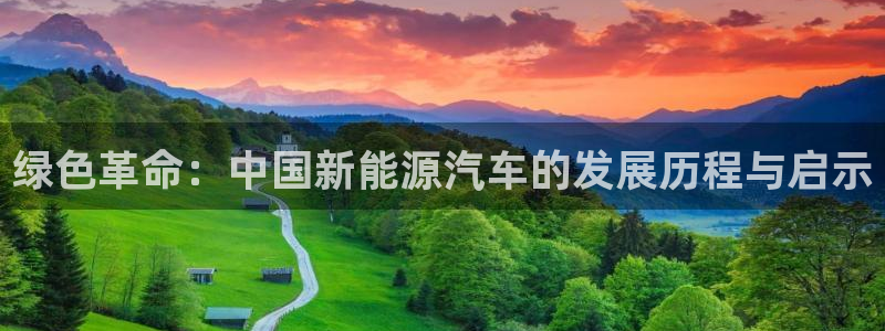 新宝GG登录网页：绿色革命：中国新能源汽