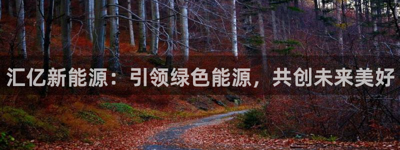 新宝gg手机助手：汇亿新能源：引领绿色能