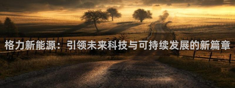 新宝GG朔78778：格力新能源：引领未