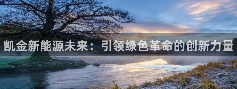 新宝gg如何注册：凯金新能源未来：引领绿