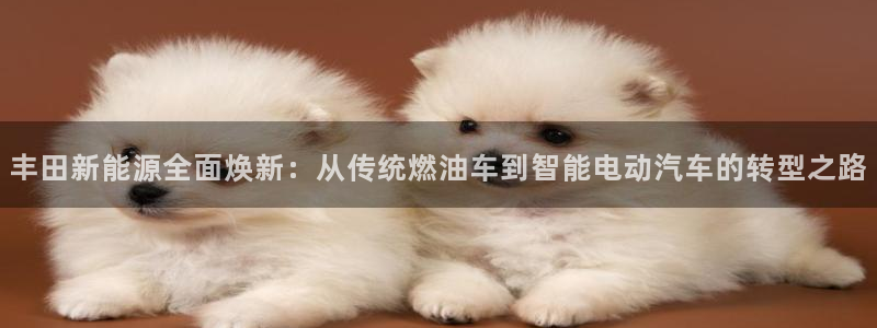新宝gg地址：丰田新能源全面焕新：从传统