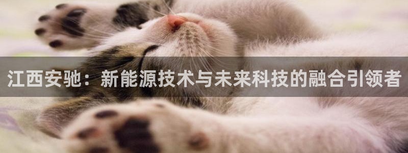 新宝GG程355051：江西安驰：新能源
