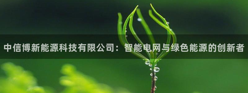 新宝6新宝gg：中信博新能源科技有限公司