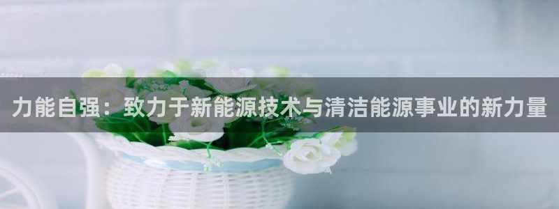 新宝gg网址：力能自强：致力于新能源技术