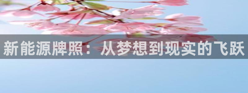 新宝gg平台注册：新能源牌照：从梦想到现